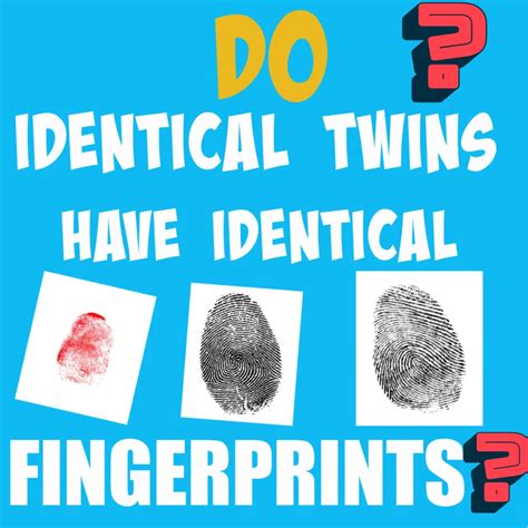 Do identical twins have identical fingerprints?