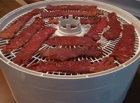 Dehydrator Easy Pressed Beef Jerky Recipe | Just A Pinch