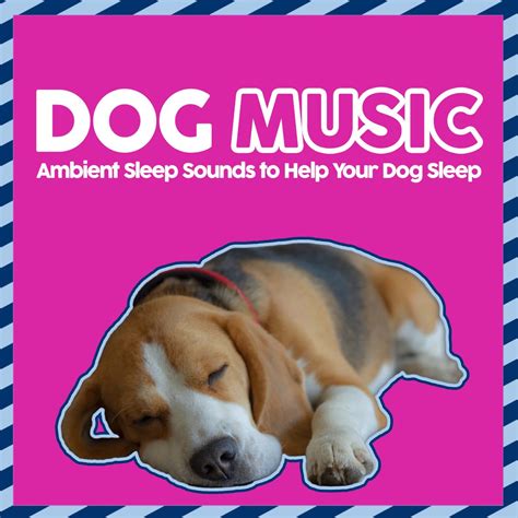 ‎Dog Music - Ambient Sleep Sounds to Help Your Dog Sleep by Music For ...