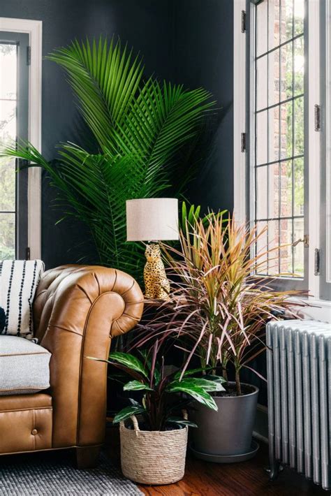 Living Room Plant - Bedroom Interior Design