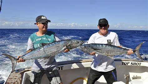 _DSC0596 - Cairns Marlin Fishing | Black Marlin Cairns