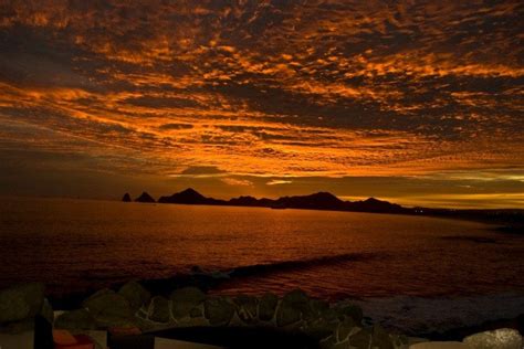 Sunset da Mona Lisa: Cabo San Lucas Restaurants Review - 10Best Experts and Tourist Reviews