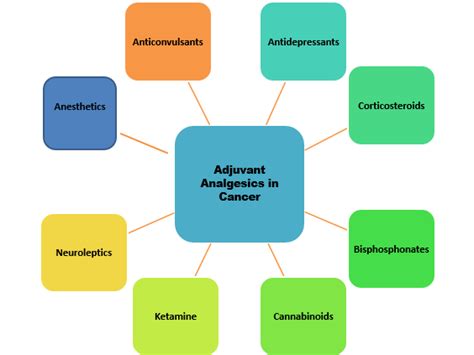 Schematic diagram of adjuvant analgesic drug categories for cancer pain ...