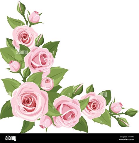 Pink roses. Vector corner background Stock Vector Image & Art - Alamy