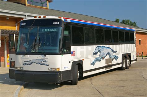 File:Greyhound-Bus.jpg - Wikimedia Commons