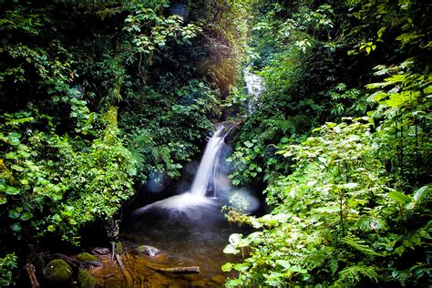 MONTEVERDE CLOUD FOREST RESERVE - Ecogetaways