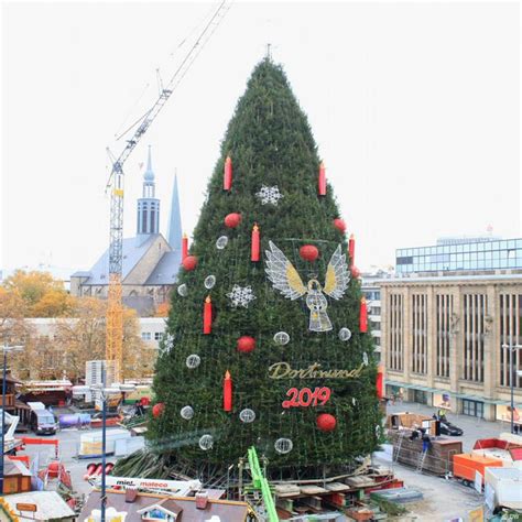 The Tallest Christmas Tree In The World