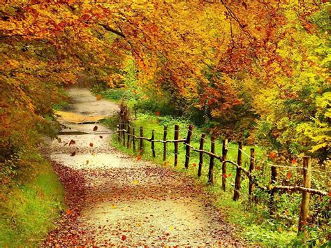 Beautiful Fall Scenery Wallpaper - WallpaperSafari