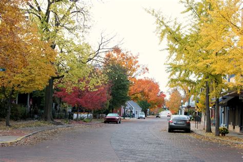 The Cottage Nest: Autumn in the Village