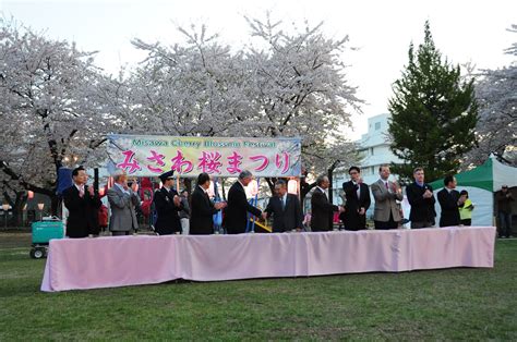 Lanterns illuminate cherry blossoms in Misawa > Misawa Air Base > Article Display