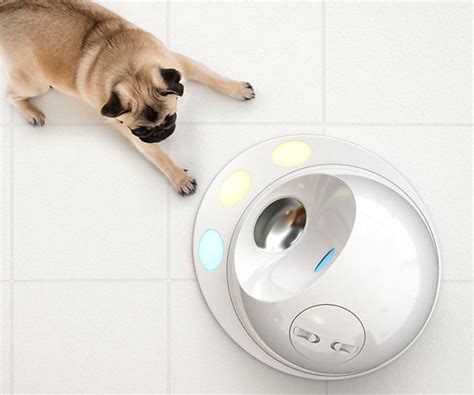 Dog Puzzle Feeder - INTERWEBS