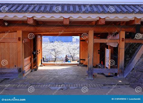 Maizuru Castle Park with Cherry Blossoms at Marunouchi, Kofu, Stock ...