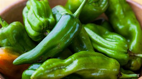 The Lowdown on the New Mexico Green Chile