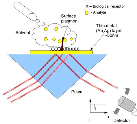 File:Surface plasmon biosensor.png - Wikipedia