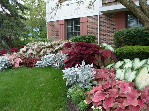 Zone 4 Garden Ideas Pin On Outdoor: Home - all about hobby
