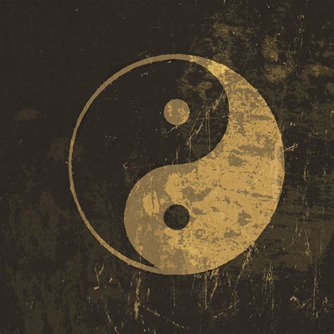 Balancing The Yin & Yang – The Wellness Project