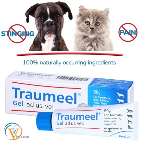 Traumeel Gel 50g Homeopathic Topical Cream | Animals: Cats, Dogs, Horses. Veterinary Formula by ...