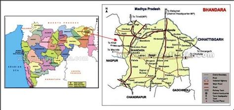 Diversity, Distribution and Utilization pattern of economically important woody plants ...