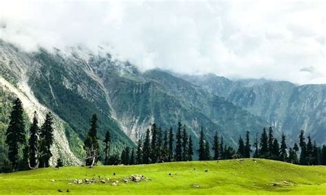 DOODHPATHRI, Trip to the Valley of Milk in Kashmir - Tale of 2 Backpackers