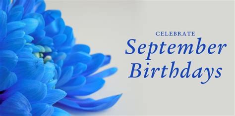 September Birthdays- Asters & Sapphires- Bice's Florist - Bice's Florist