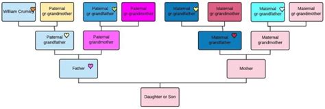 Thirteen Good Reasons to Test Your Mitochondrial DNA | DNAeXplained ...