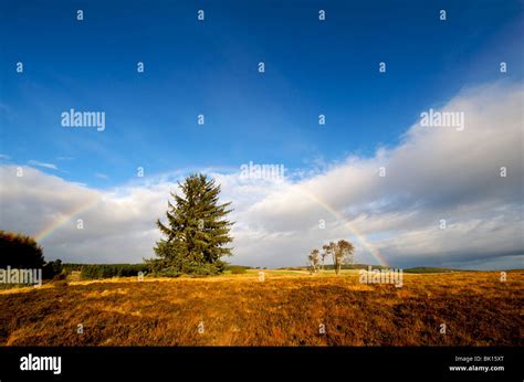 Scotland, autumn rainbow Stock Photo - Alamy