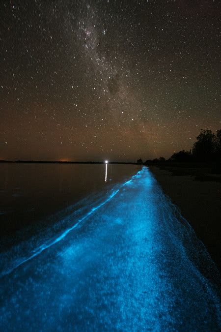 Bioluminescence in the Gippsland Lakes | Phil Hart