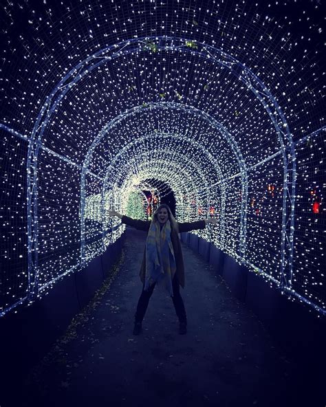 In pictures: Kew Gardens’ incredible Christmas lights are back Kew ...