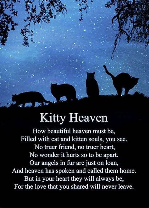 Cat Heaven Sympathy Poem for Memorial For Cat Art Print by Stephanie ...