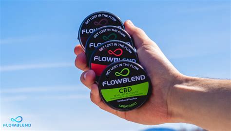 The Impact Of Nicotine And Nicotine-Free Pouches On Health - FlowBlend