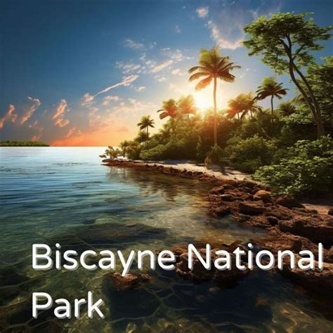 Exploring Biscayne National Park: History, Ecosystems, Wildlife, And ...