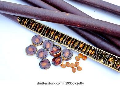 Cassia Fistula Fruit Seed Golden Shower Stock Photo 1935682546 | Shutterstock