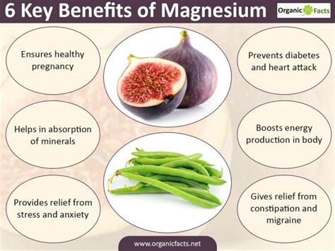 13 Amazing Benefits of Magnesium | Organic Facts