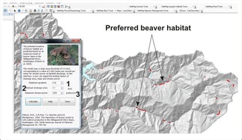 Beaver Habitat