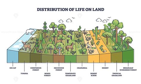 Distribution of life on land with geographical climate zones outline ...