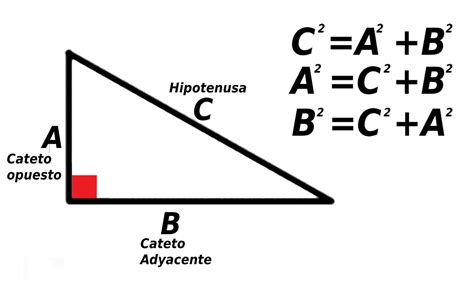 Como Calcular El Cateto De Un Triangulo Rectangulo - Design Talk