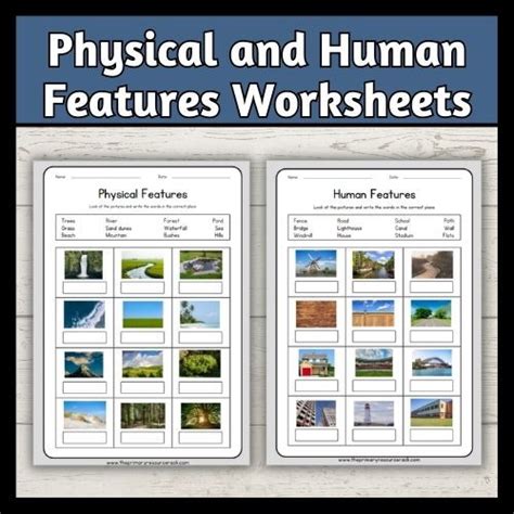 Sorting Physical & Human Features (Years 3-4) | CGP Plus - Worksheets Library