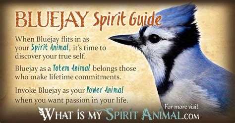 Bluejay Symbolism & Meaning | Bluejay Spirit, Totem & Power Animal ...