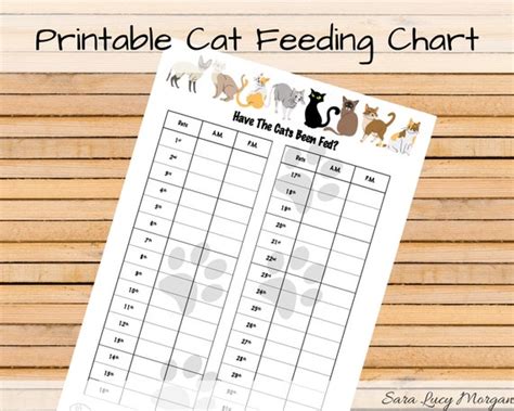 Monthly Printable Cat Feeding Chart. Cat Food Schedule. Pet - Etsy Finland