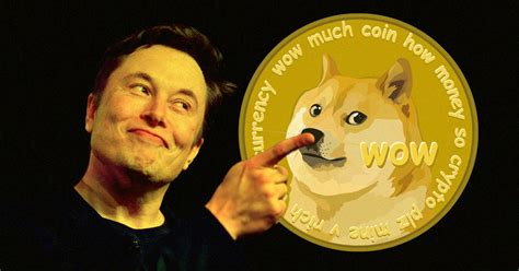 Elon Musk Mocks Dogecoin Crypto Scams » TrueViralNews