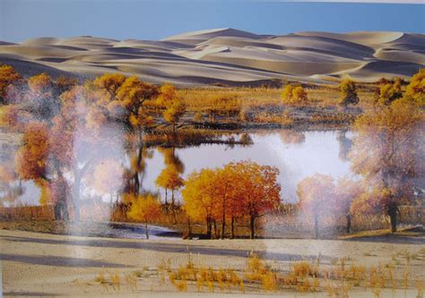 Oasis in Fall, Taklamakan Desert Pictures, Images of Taklamakan Desert Xinjiang, Xijiang Silk ...