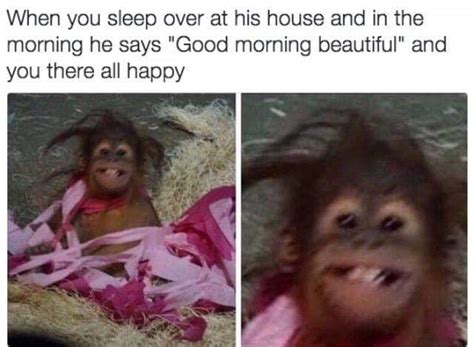 Good morning beautiful : r/wholesomememes