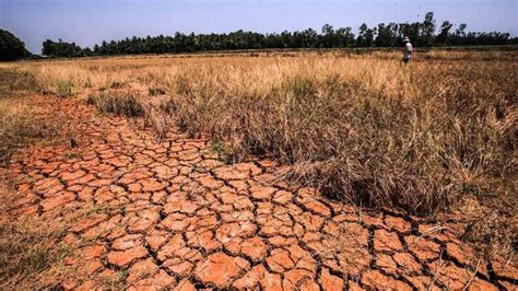 Mekong Delta planning for impact from climate change