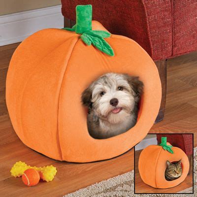 Adorable Halloween Pumpkin Pet Bed, Cats or Dogs | Pet bed, Pet beds cat, Cat bed