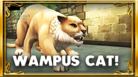 HOW DID A WAMPUS CAT GET HERE?!?! YEAR 7 CHAPTER 10- Harry Potter Hogwarts Mystery! - YouTube