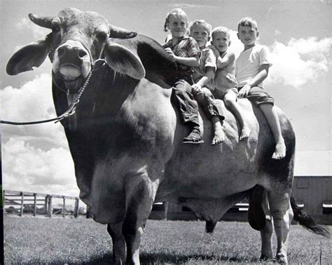 17 Best images about TEXAS RANCH HISTORY on Pinterest | Palo duro ...