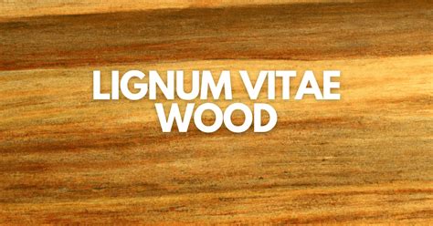 Lignum Vitae Wood, Uses, Pros And Cons - Timber Blogger