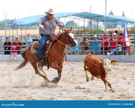 The Cowboy In A Calf Roping Competition. Editorial Stock Image - Image: 33216824