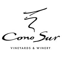 Cono Sur Vineyards & Winery | Chile