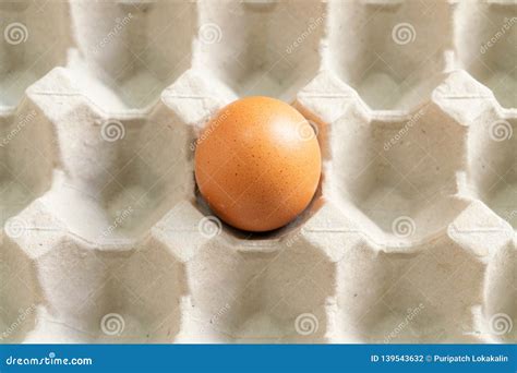 An egg in the egg tray stock photo. Image of kitchen - 139543632